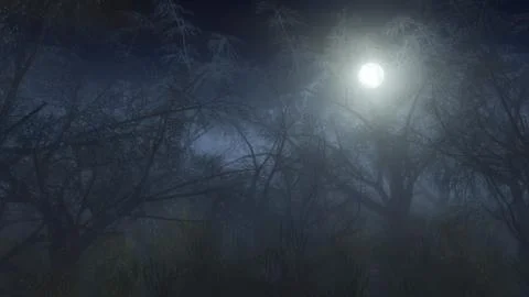 Spooky winter forest in the mist at moonlight. Stock Illustration
