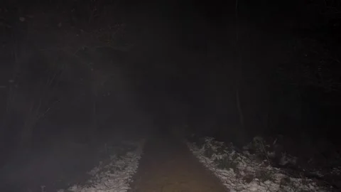 Spooky Winter Night Walk Through a Snowy Woodland Path with Mist Stock Footage 293595471