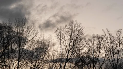 Spooky Winter Storm Clouds and Woods Time Lapse Stock Footage 100717296