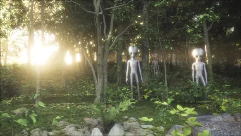 Spooky woods at sunset with a menacing group of Roswell-style grey aliens Stock Footage 311111400