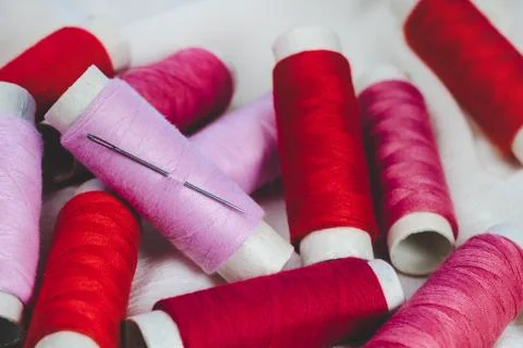 Spools of pink and red threads and sewing needle on white cotton cloth Stock Photos