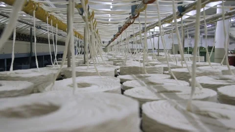 Spools Of Yarn During Textile Thread Manufacturing, Closeup Shot Stock Footage 246505371