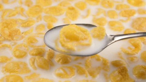 Spoon of cereal with milk Stock Footage 111868219