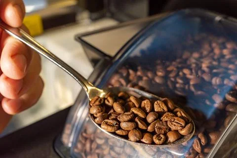 Spoon with coffee on the background of the storage of coffee beans in the coffee Stock Photos