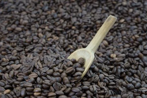 Spoon in coffee beans Stock Photos