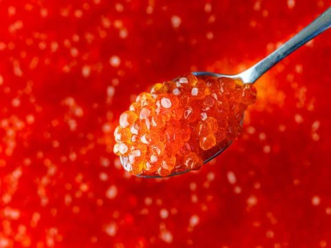 Spoon with red caviar close-up on background of red caviar Stock Photos