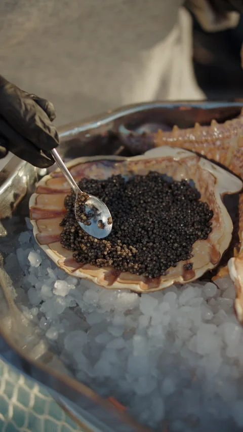 Spoon scooping black caviar from scallop shell Stock Footage 309568137