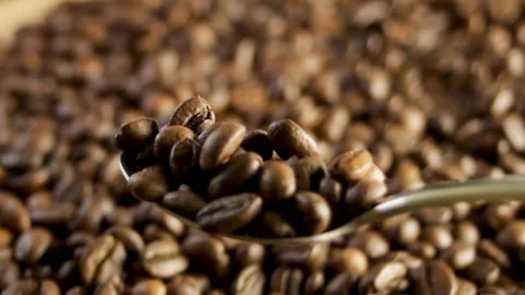 Spoon scooping up coffee beans close-up Stock Footage 316089593