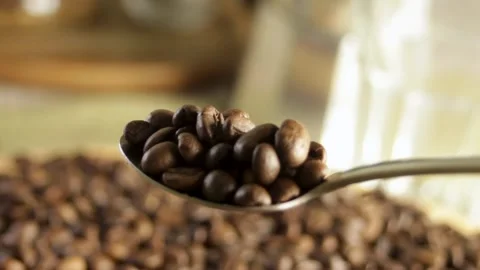 Spoon scooping up coffee beans close-up Stock Footage 316089865