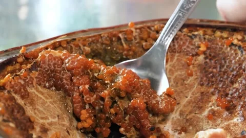 Spoon Scooping Cooked Horseshoe Crab Eggs (Roe) from Carapace Shell Video stock 344221767