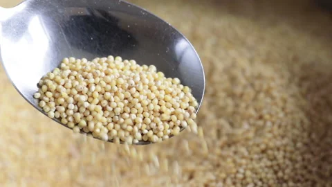 Spoon scooping raw millet close-up Stock Footage 131317417