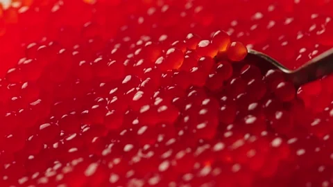 The spoon scoops up red caviar. close-up Stock Footage 161177922