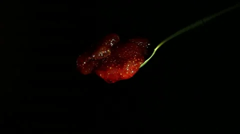 Spoon with strawberry jam and drops on a black background. Close up Stock Footage 64261692