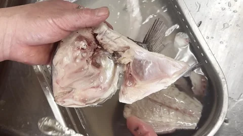 Spoon Taking Scales off a Red Fish Head in a Sink (Sea Bream), Japanese Food Stock Footage 340930840