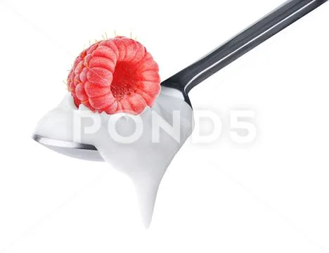 Spoon of yogurt with blueberries on top Stock Photos