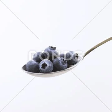 Spoonful of Blueberries on a White Background Stock Photos
