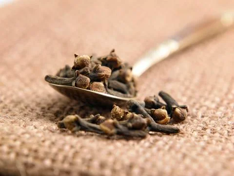 Spoonful of Cloves Stock Photos