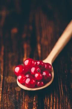 Spoonful of red currant Stock Photos
