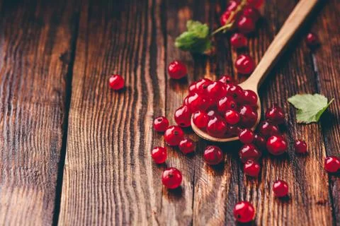 Spoonful of red currant Stock Photos