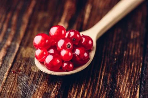 Spoonful of red currant Stock Photos
