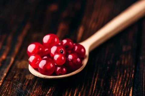 Spoonful of red currant Stock Photos
