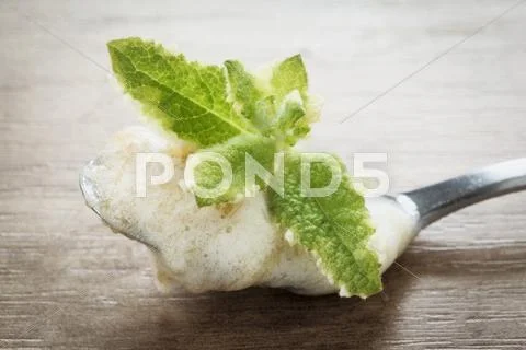 A spoonful of rhubarb foam with pineapple mint Stock Photos