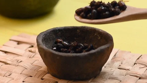 Spoonful roasted ants added to cup Stock Footage 92444987