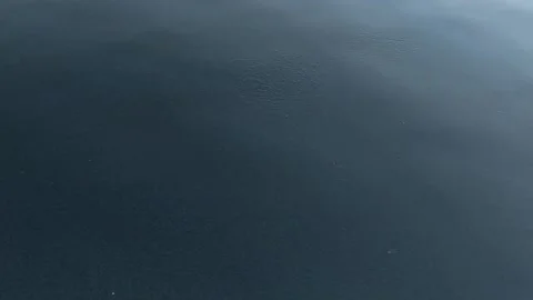 Sporadic schools of tiny minnows jumping out of calm dark water. Stock Footage 137568681