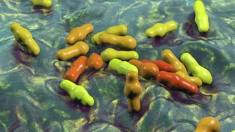 Spore-forming bacteria Clostridium Stock Footage 141728673
