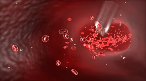 SPOROZOITE Stock Footage 43060443