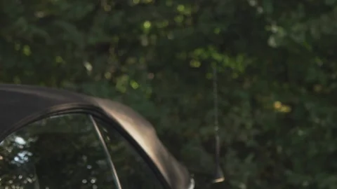 Sport Car in the forest Stock Footage 243621280