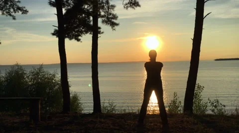 Sport in the forest at sunset Stock Footage 66357456