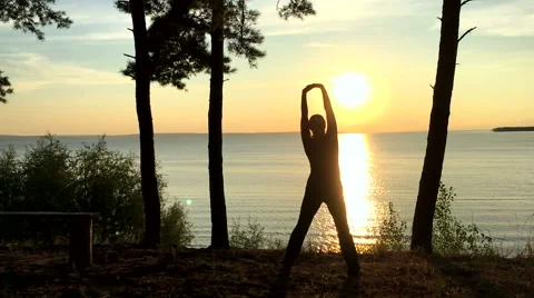 Sport in the forest at sunset Stock Footage 66380072