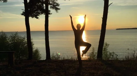Sport in the forest at sunset Stock Footage 67106806