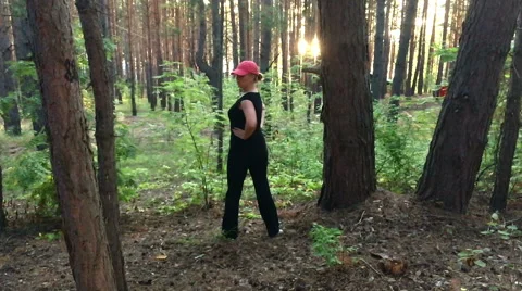 Sport in the forest at sunset Stock Footage 67236293