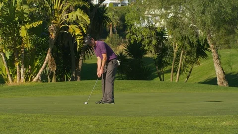 Sport, Golf, Golf Course, Swinging, Golf Club, Putting, Putting Green, Outdoors, Stock Footage 94110853