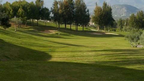Sport, Golf, Golf Course, Tree, Wide Shot, Panning, 30 Seconds Or Greater, Stock Footage 94248444