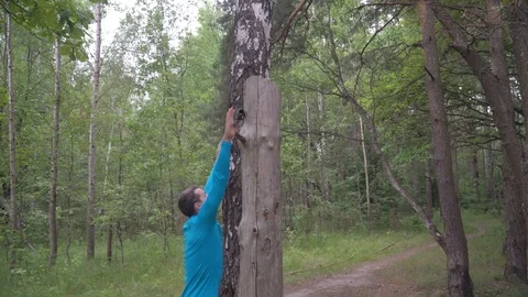 Sport man doing pull-ups on horizontal bar Vídeos de archivo 116995318