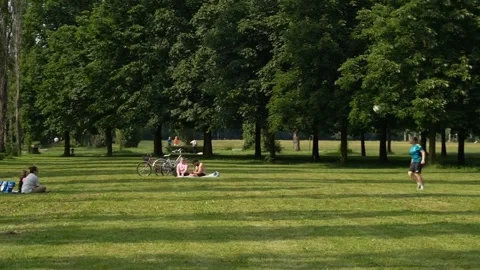 Sport at park Stock Footage 242932589