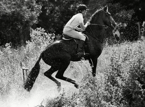 Sport Stock Photos