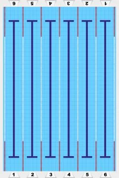 Sport swimming pool. Vector Stock Illustration