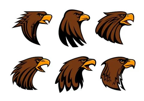 Sport team eagle or hawk bird head vecor mascot 스톡 일러스트