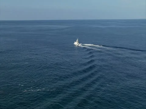 Sportfishing Video stock 22243046