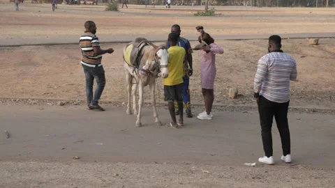 Sporting activities going on in Africa 库存影片 155975698