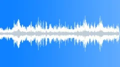 Sporting Event Ambience Sound Effect