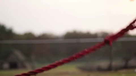 Sporting Man Stock Footage 82076050