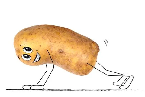 Sporting potato Stock-Illustration