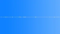 Sports Basketball - Crowds Crowd Game Gym Idle 2 Sound Effect