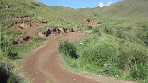 Sports buggies splashed by dirt to rush on the mountain road Stock Footage 71531402