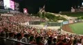 Sports Fans watching a baseball game HD Footage